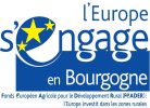 LOGO bourgogne_FEADER LOGO bourgogne_FEADER